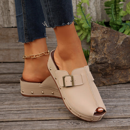 Sofia Platform Slides